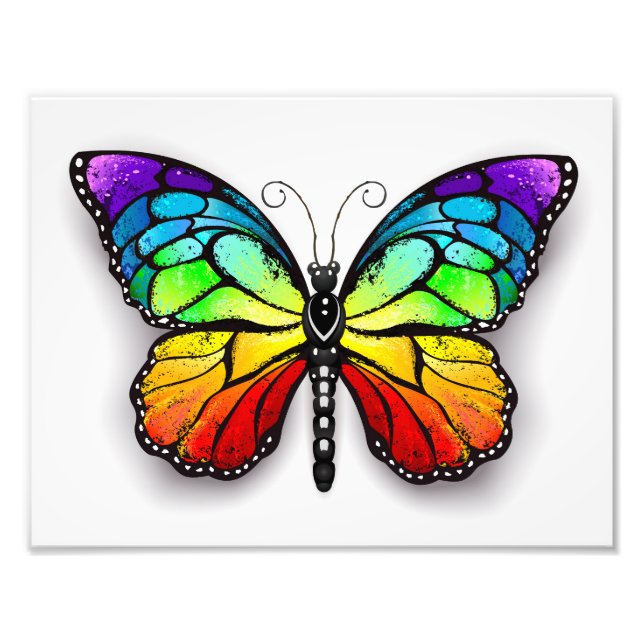 Rainbow butterfly Monarch Photo Print (Front)