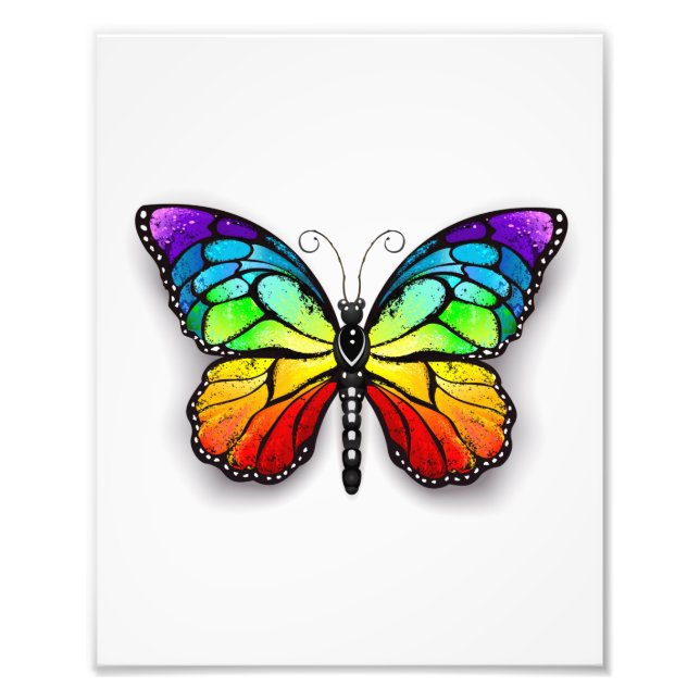 Rainbow butterfly Monarch Photo Print (Front)