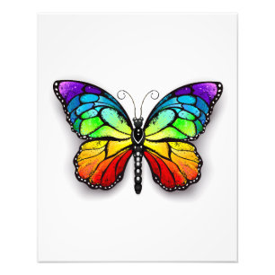 Rainbow butterfly Monarch Photo Print