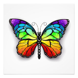 Rainbow butterfly Monarch Photo Print