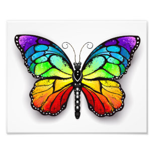 Rainbow butterfly Monarch Photo Print