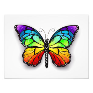 Rainbow butterfly Monarch Photo Print
