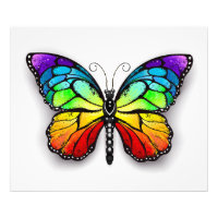 Rainbow butterfly Monarch