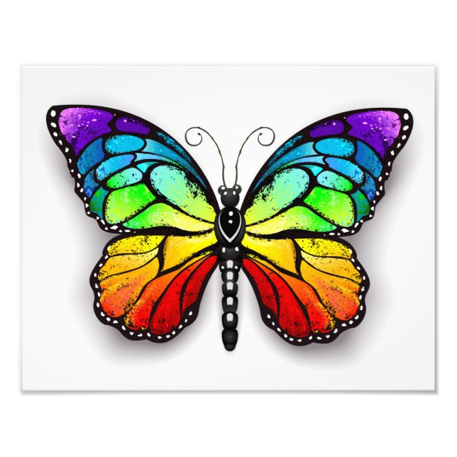 Rainbow butterfly Monarch Photo Print (Front)