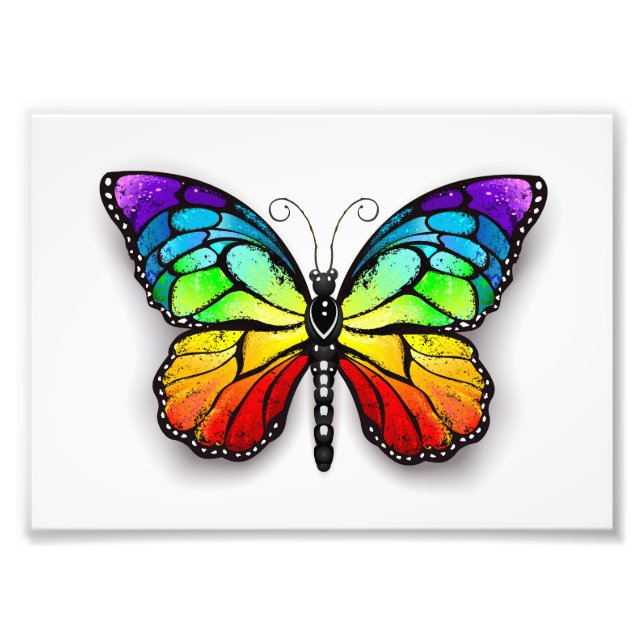 Rainbow butterfly Monarch Photo Print (Front)