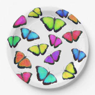 Rainbow Butterfly Paper Plate
