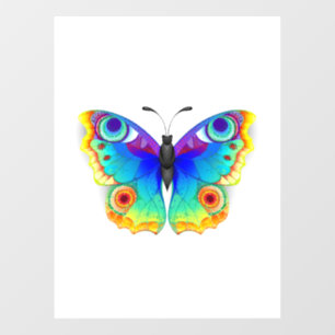 Rainbow Butterfly Peacock Eye