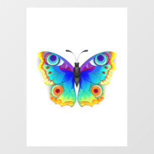 Rainbow Butterfly Peacock Eye