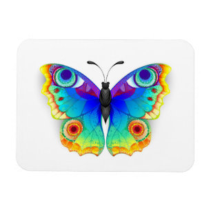 Rainbow Butterfly Peacock Eye Magnet