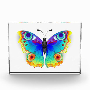 Rainbow Butterfly Peacock Eye Photo Block