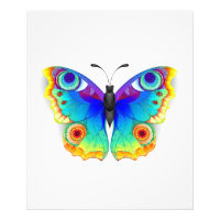 Rainbow Butterfly Peacock Eye