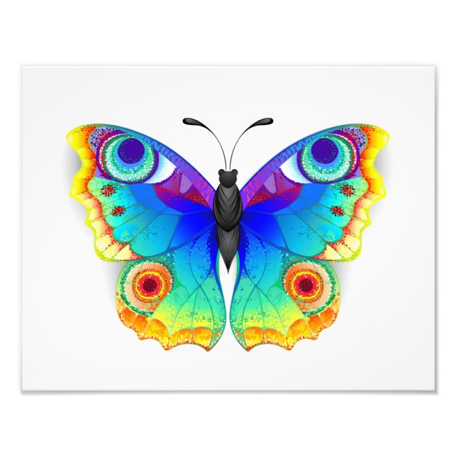 Rainbow Butterfly Peacock Eye Photo Print (Front)