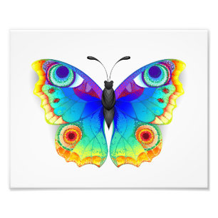 Rainbow Butterfly Peacock Eye Photo Print