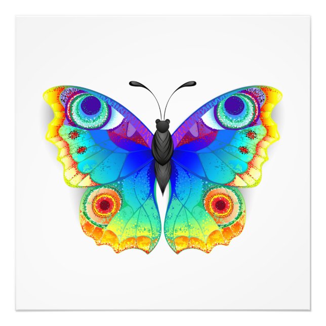 Rainbow Butterfly Peacock Eye Photo Print (Front)