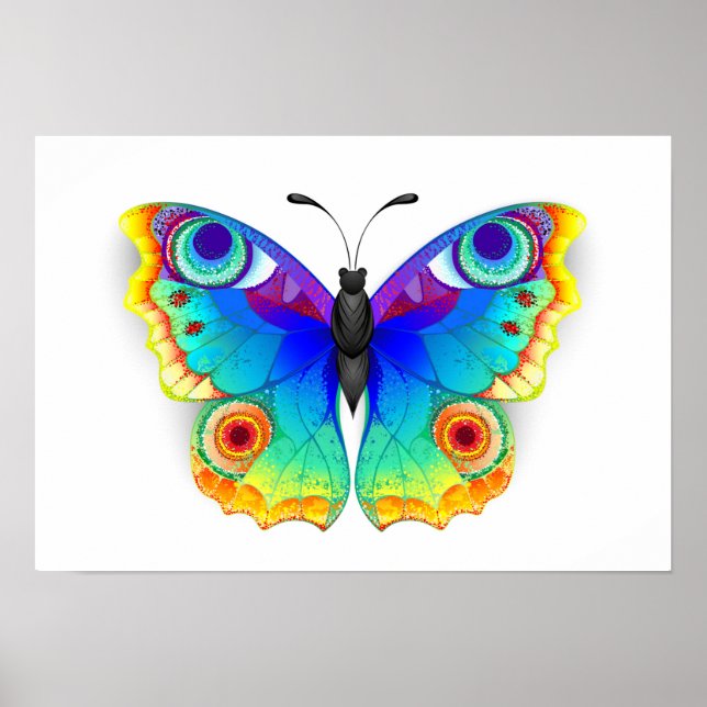 Rainbow Butterfly Peacock Eye Poster (Front)