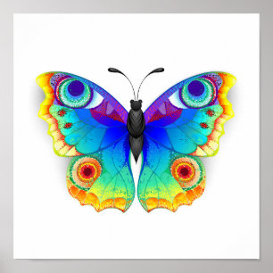 Rainbow Butterfly Peacock Eye Poster