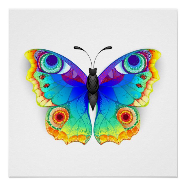 Rainbow Butterfly Peacock Eye Poster (Front)