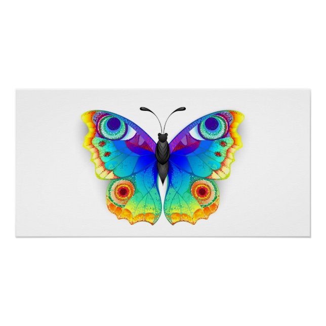 Rainbow Butterfly Peacock Eye Poster (Front)