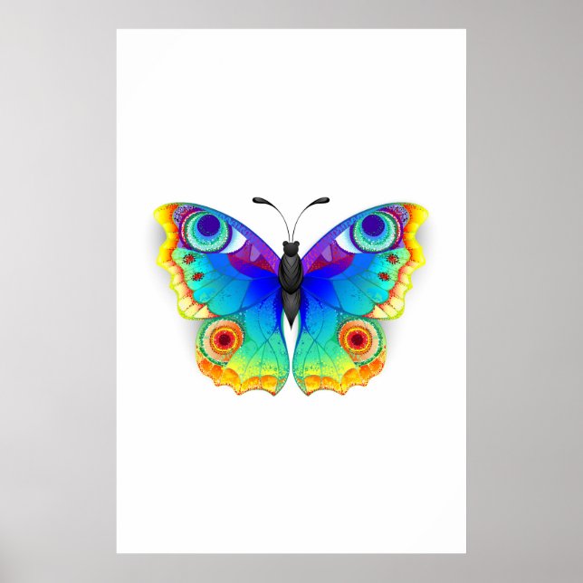 Rainbow Butterfly Peacock Eye Poster (Front)