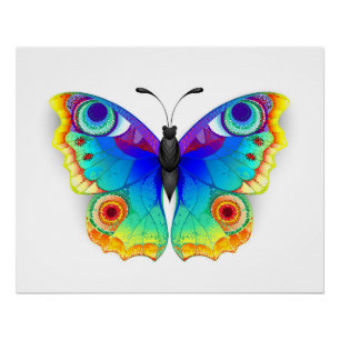 Rainbow Butterfly Peacock Eye Poster