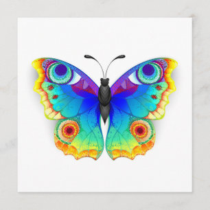 Rainbow Butterfly Peacock Eye Program