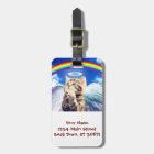 rainbow cat - cat praying - cat - cute cats