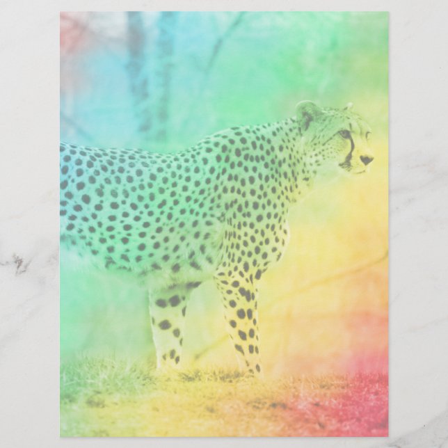 Rainbow Cheetah (Front)