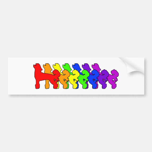 Rainbow Chinese Crested Bumper Sticker (Front)