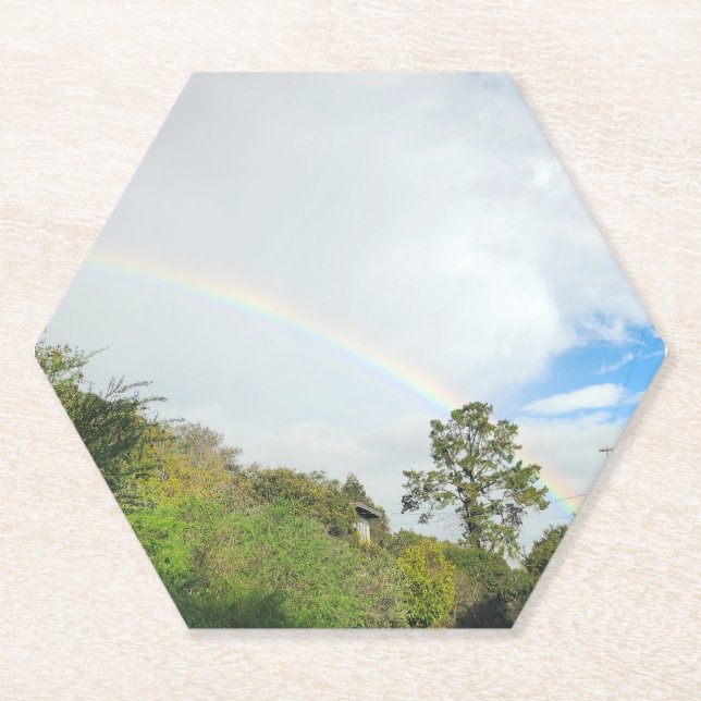 Rainbow coaster (Front)