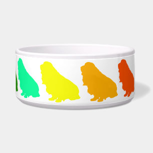 Rainbow Cocker Pet Bowl