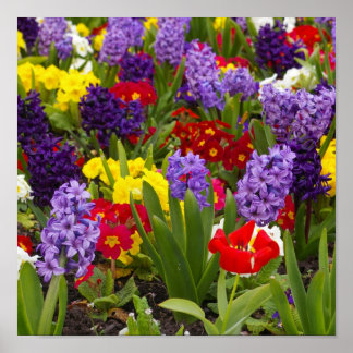 Rainbow Collection Poster