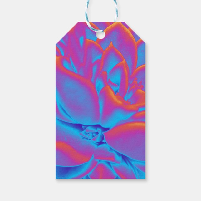 Rainbow colour Succulent plant Gift Tags (Front)