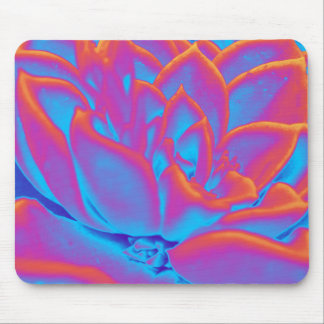 Rainbow colour Succulent plant Mouse Pad