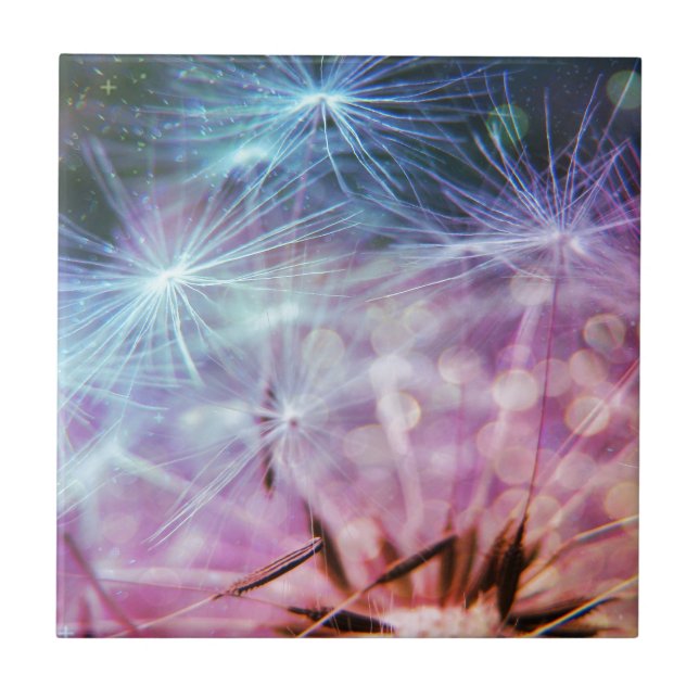 Rainbow Coloured Dandelion Puffs Floating Ceramic Tile (Front)