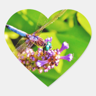 Rainbow coloured Dragonfly on a purple pink flowe Heart Sticker