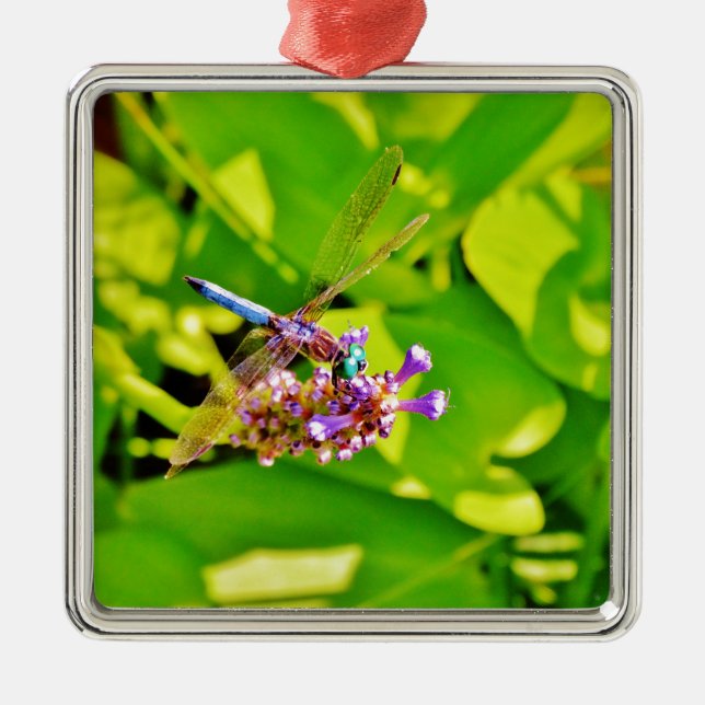 Rainbow coloured Dragonfly  on a purple pink flowe Metal Tree Decoration (Front)