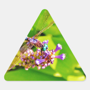Rainbow coloured Dragonfly  on a purple pink flowe Triangle Sticker