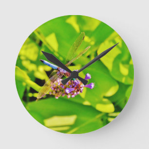 Rainbow coloured Dragonfly  on a purple pink Round Clock