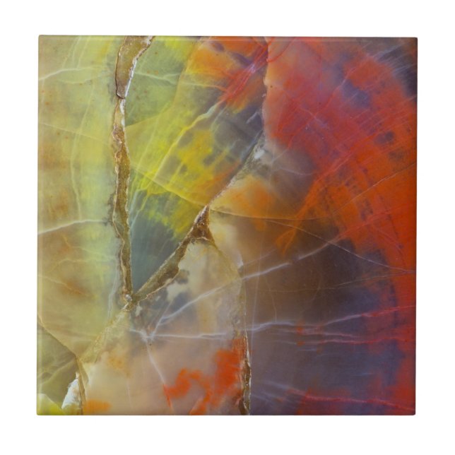 Rainbow Coloured Petrified Wood Ceramic Tile (Front)