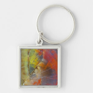 Rainbow Coloured Petrified Wood Key Ring