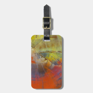 Rainbow Coloured Petrified Wood Luggage Tag