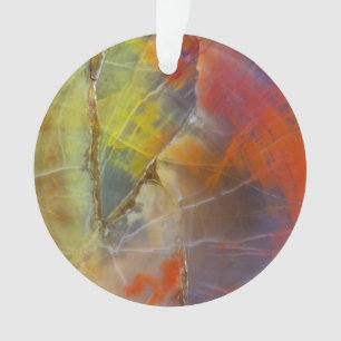 Rainbow Coloured Petrified Wood Ornament
