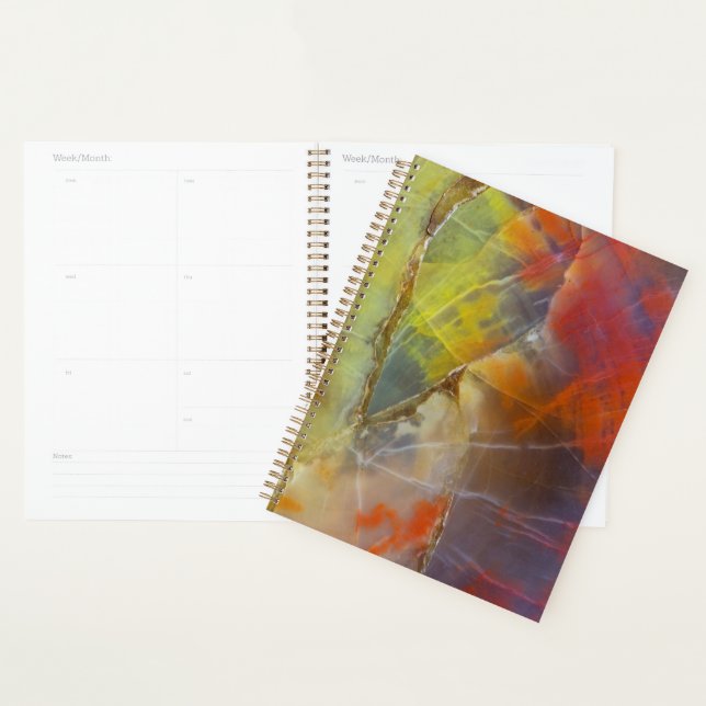 Rainbow Coloured Petrified Wood Planner (Display)