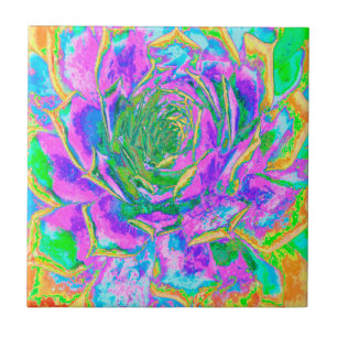 Rainbow Colours Fiesta Succulent Sedum Rosette Ceramic Tile