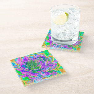 Rainbow Colours Fiesta Succulent Sedum Rosette Glass Coaster
