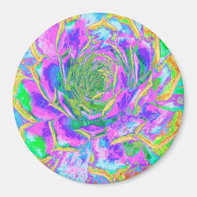 Rainbow Colours Fiesta Succulent Sedum Rosette Magnet (Front)