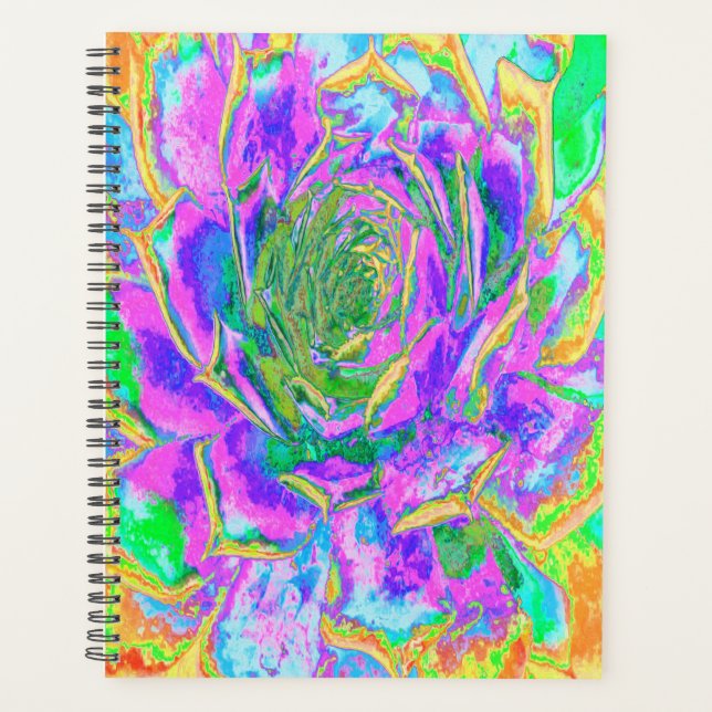 Rainbow Colours Fiesta Succulent Sedum Rosette Planner (Front)