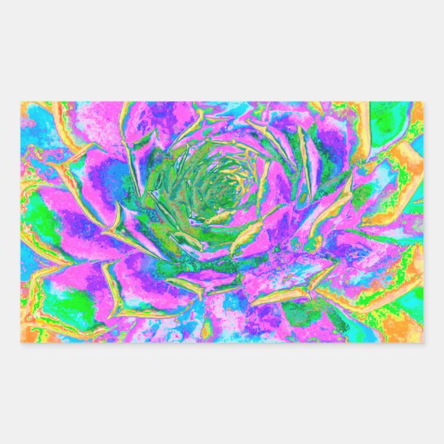 Rainbow Colours Fiesta Succulent Sedum Rosette Rectangular Sticker (Front)