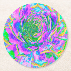 Rainbow Colours Fiesta Succulent Sedum Rosette Round Paper Coaster