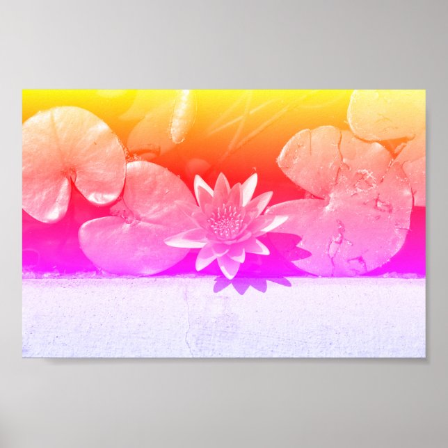 Rainbow Colours Water Lily Flower Plants Poster (Front)